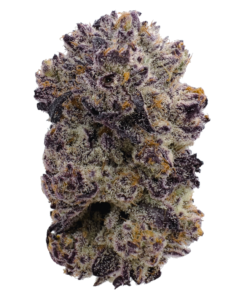 original oreoz for sale