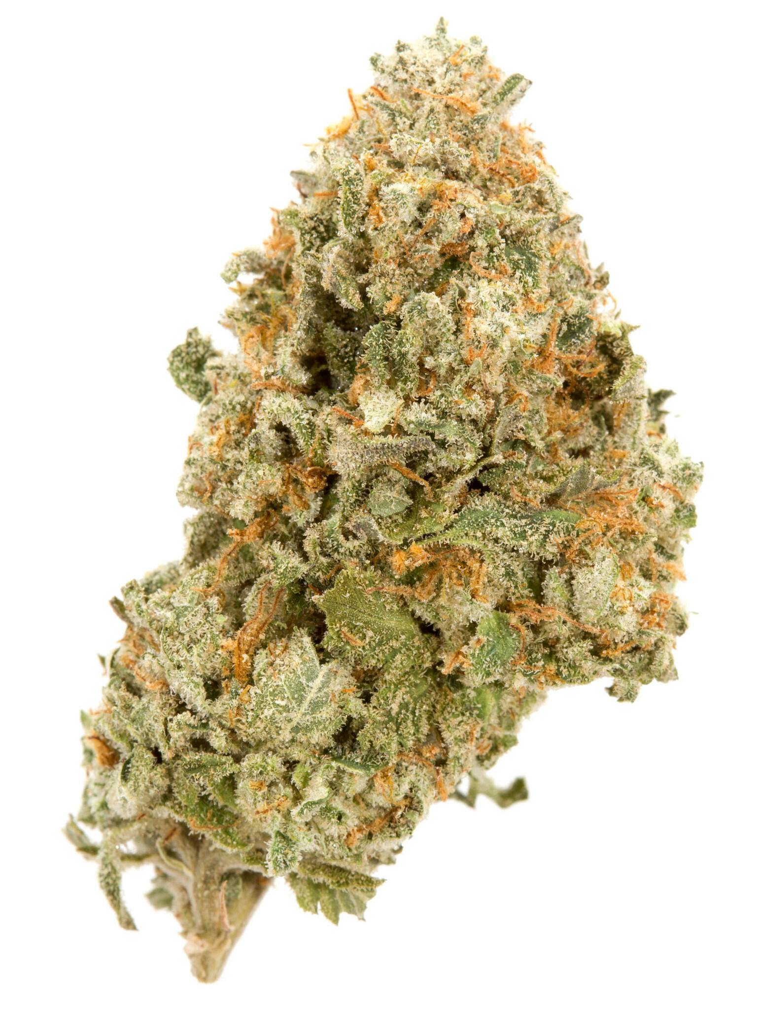 order Lemon Margy