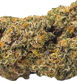 Buy Grape Noir 8 online
