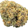 Buy Guru online