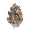 buy purple punch online