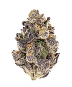 buy purple punch online
