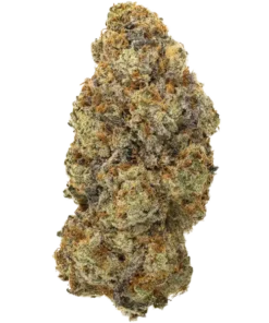 Buy Masshole OG premium Online