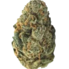 Blueberry Muffin premium botanical