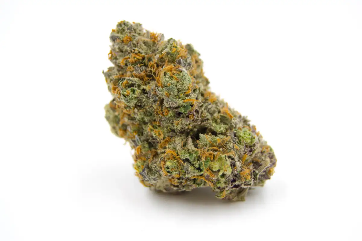 Lemon Margy - Image 4