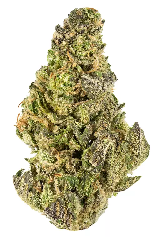Lemon Margy - Image 2