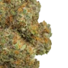 Order Lemon Cherry Gelato