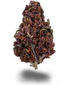 Order Purple Haze Online