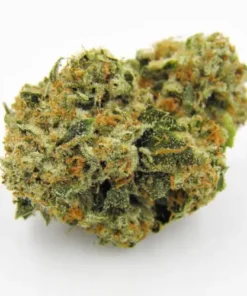 Order Kosher Kush Online
